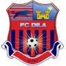 Escudo de Dila Gori