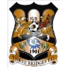 Escudo de Three Bridges