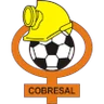 Escudo de Cobresal